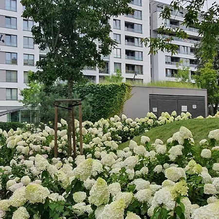 Apartment Lulu Premium